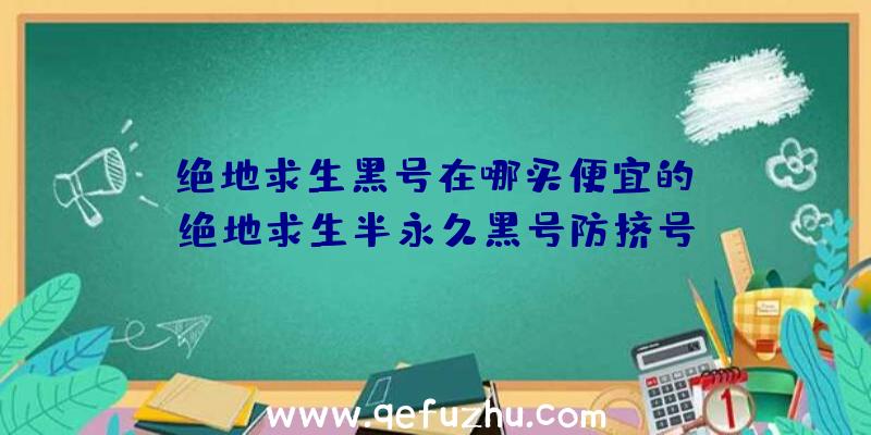 「绝地求生黑号在哪买便宜的」|绝地求生半永久黑号防挤号